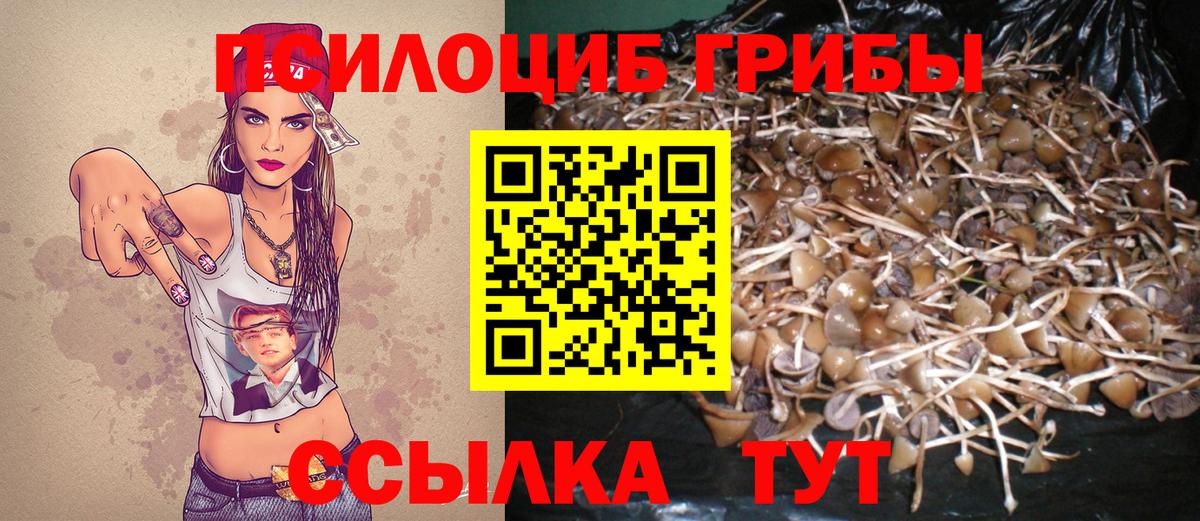 Карабулак  купить наркоту  Галлюциногенные грибы мицелий  Вход с VPN  Галлюциногенные грибы Psilocybe 