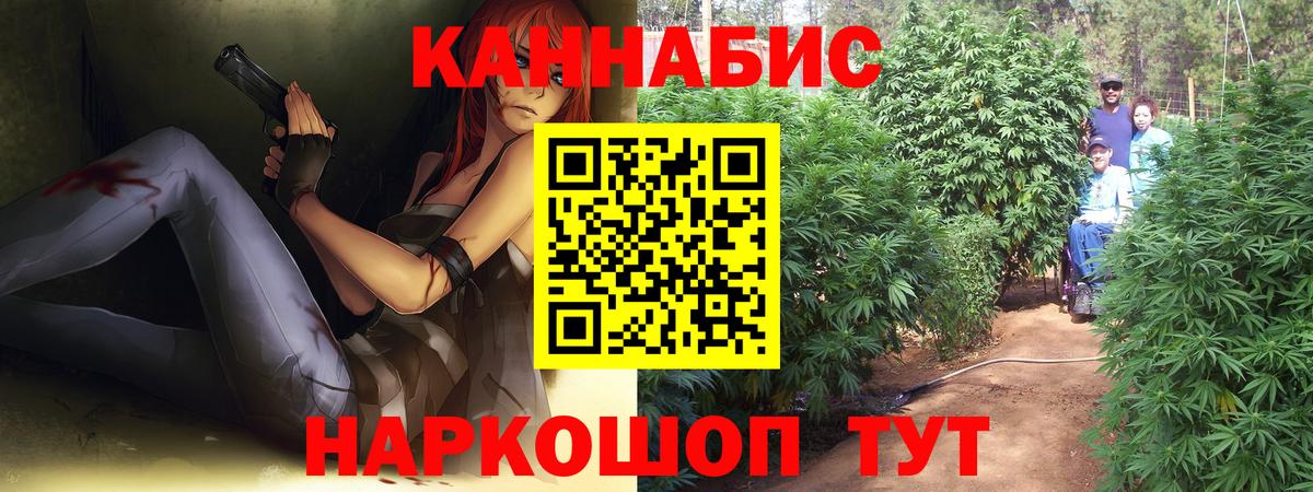 Марихуана индика  Марихуана марихуана  Вход с VPN  Канабис сатива  Карабулак 